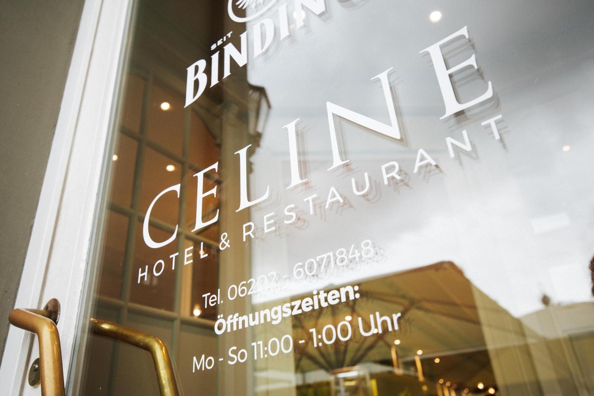 Celine Hotel Шветцинген Екстер'єр фото